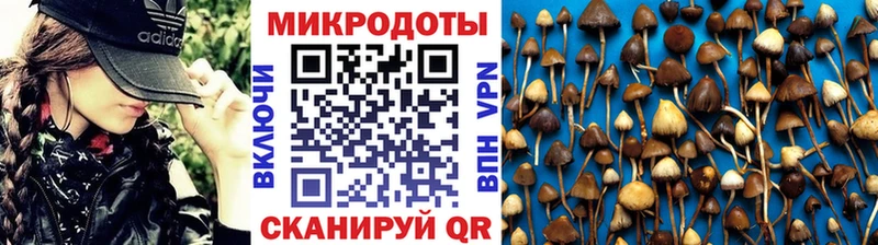 Галлюциногенные грибы Magic Shrooms Купить закладки Мензелинск
